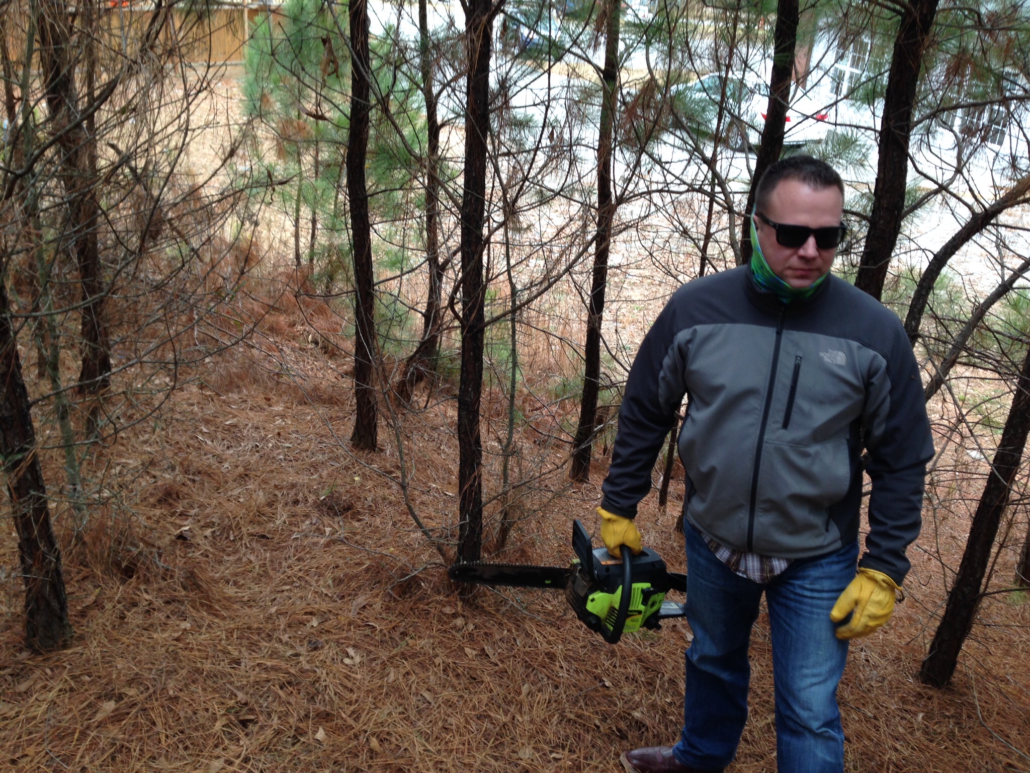 Richard Samuel Davis construction work environmental