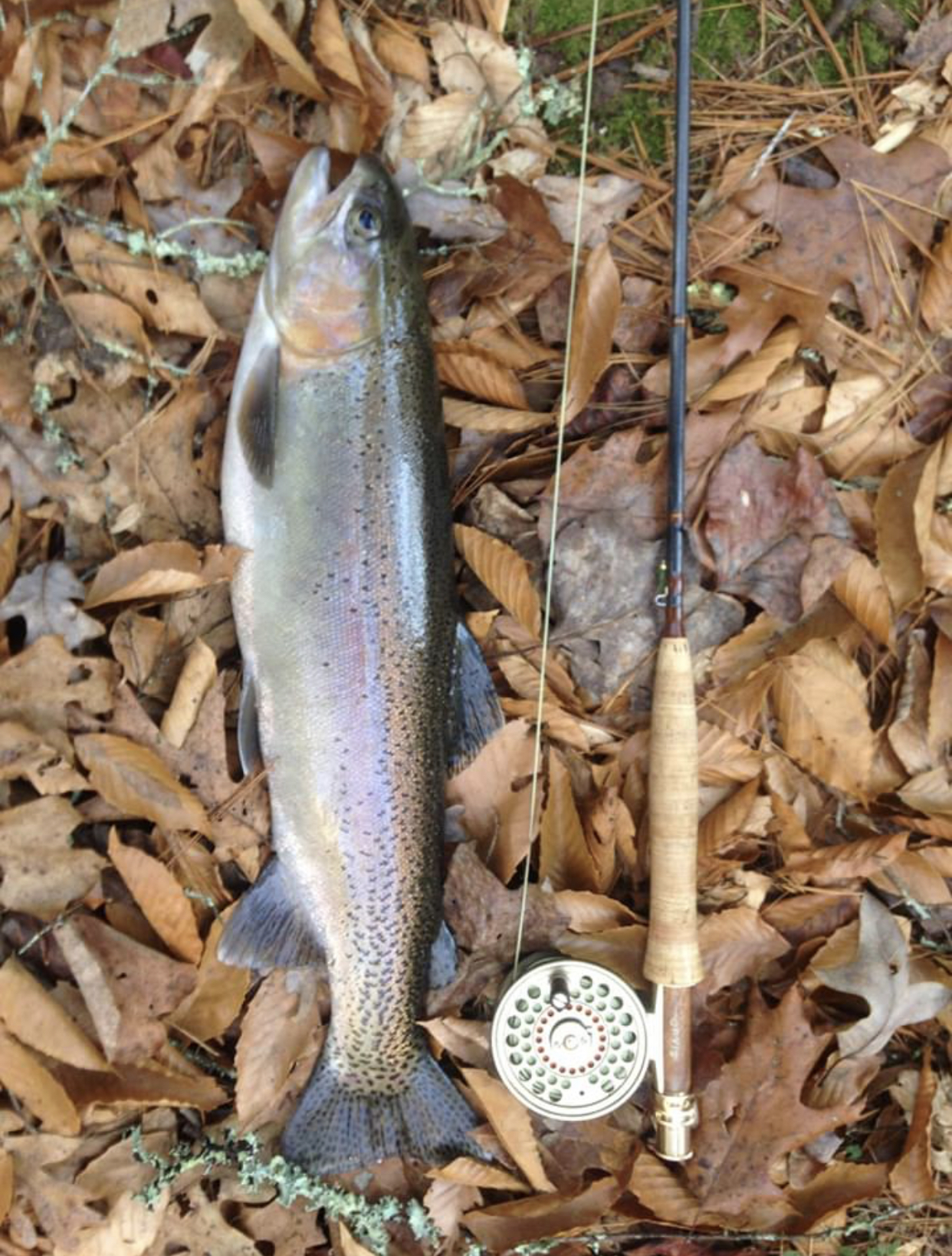 Richard Samuel Davis national park scenic photography